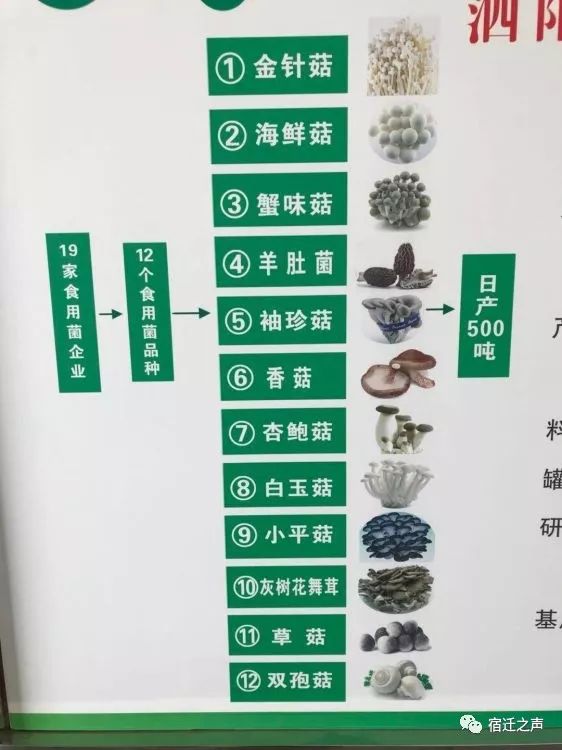 食品专用发泡剂,食品专用发泡剂与稳定计划评估，科技在食品工业的应用及展望,深入执行数据方案_盗版67.52.91