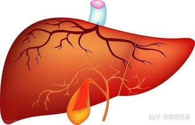 胆囊息肉对身体有什么影响