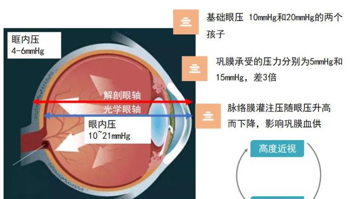 2024年奥门正版挂牌