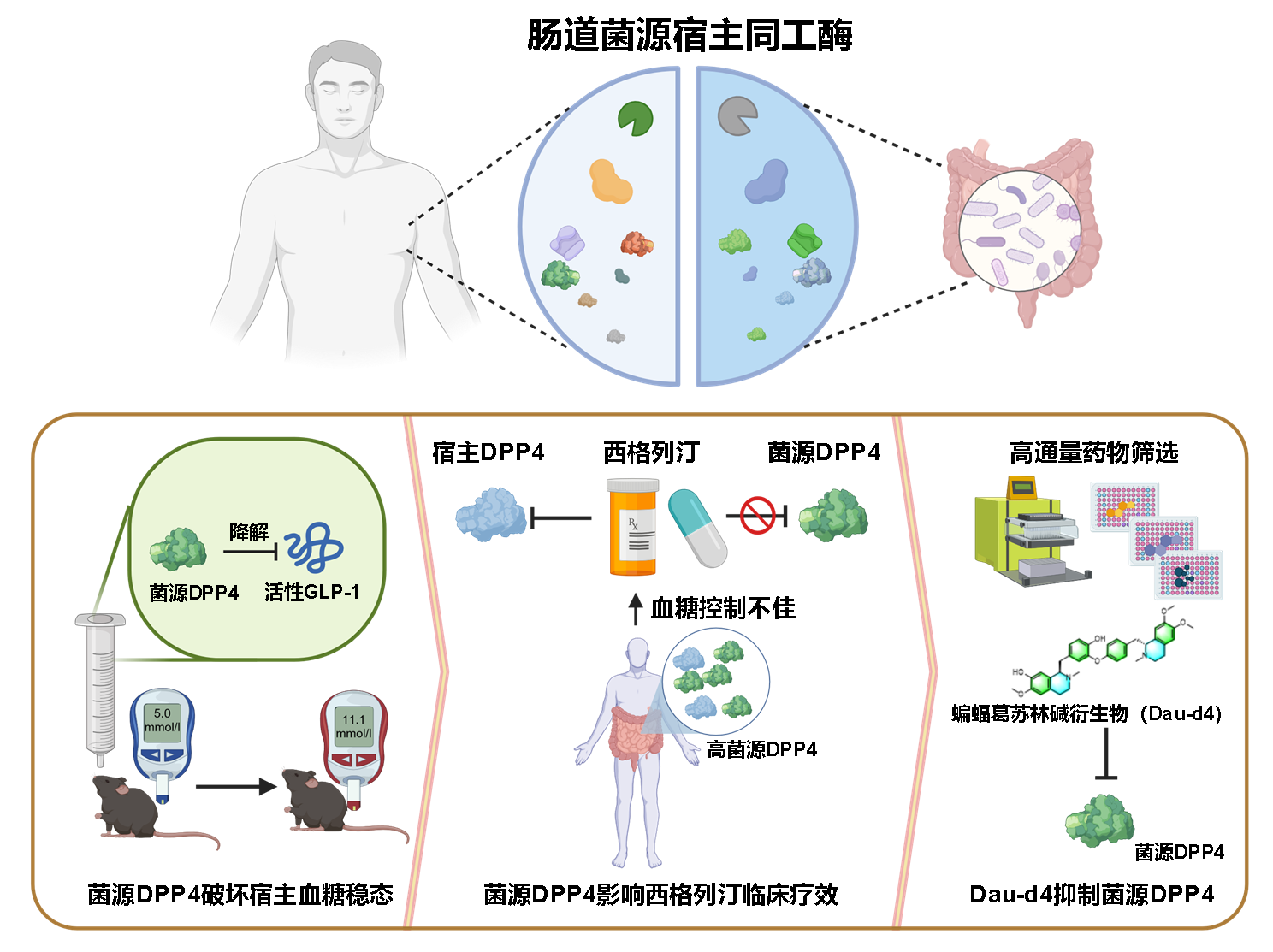 尿血是怎么回事男性吃什么药效果好