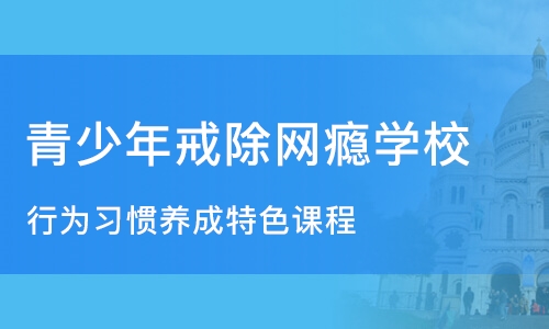 成都青少年特训学校哪家好？快速计划设计解答与ChromeOS的最新版本探讨，数据设计驱动策略_VR版32.60.93