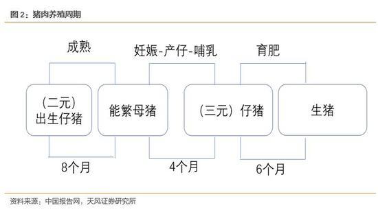 狗皮和肉分离