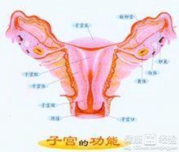 老年性子宫内膜炎症状