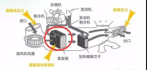 汽车蒸发箱很多油是什么造成的