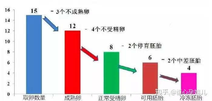 试管婴儿费用多少成功率高吗