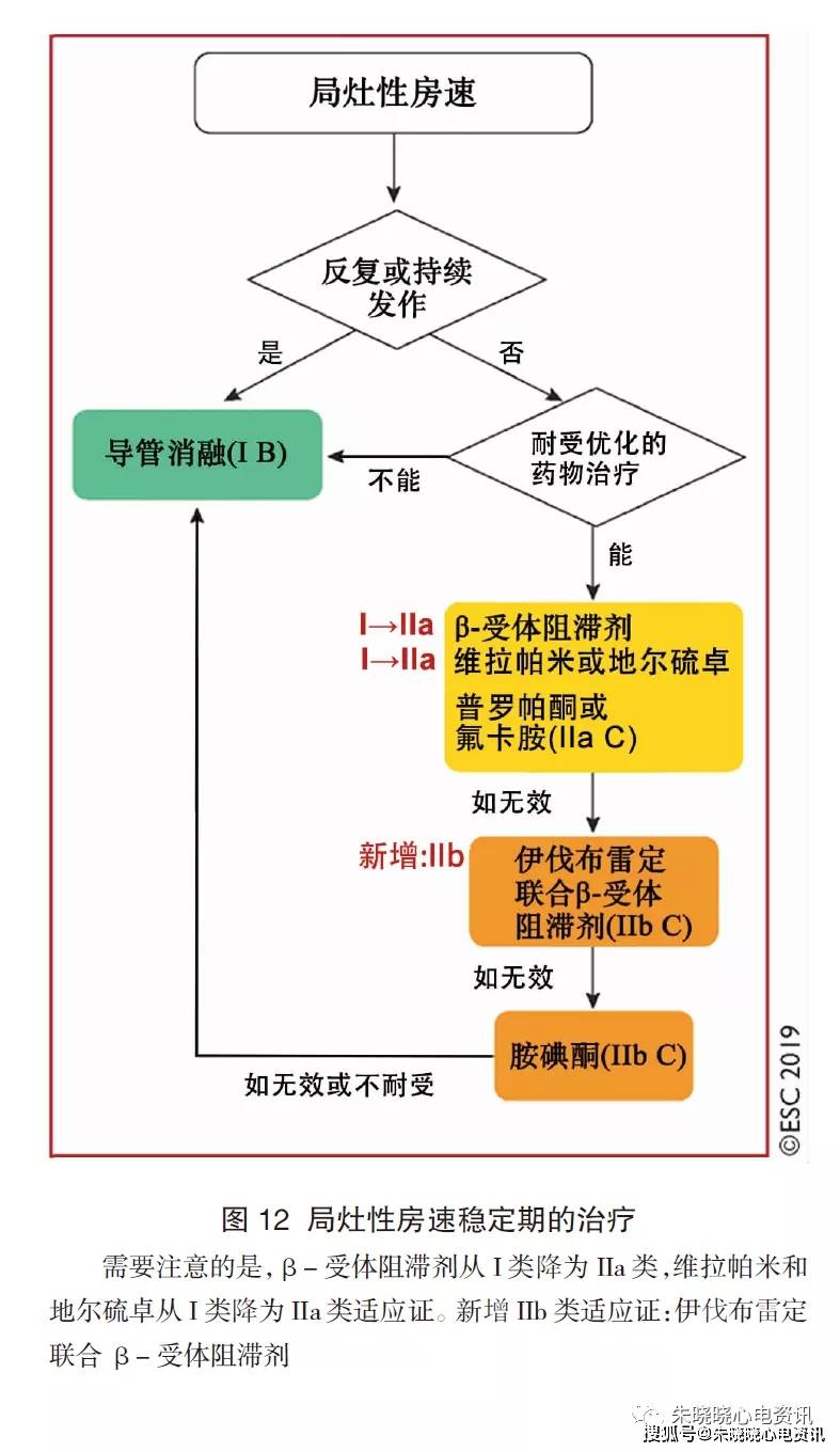 催化剂的展望