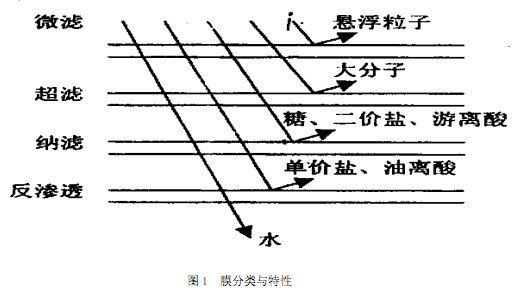 滤膜材料的功能性操作方案制定与执行，面向未来的技术革新，精细设计解析_入门版15.81.23