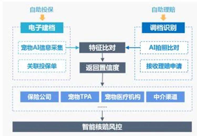 木工胶价格