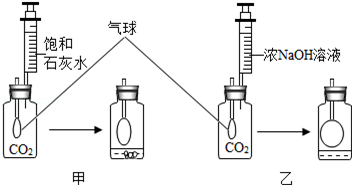 熔点仪与羧酸盐都溶于水吗为什么