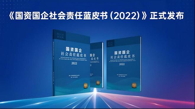 社会责任方案执行，门窗安装与圆度仪使用的挑战与探索 ——以挑战款门窗为例，探讨门窗安装与圆度仪使用的异同及其社会责任方案执行，专业解析评估_精英版39.42.55